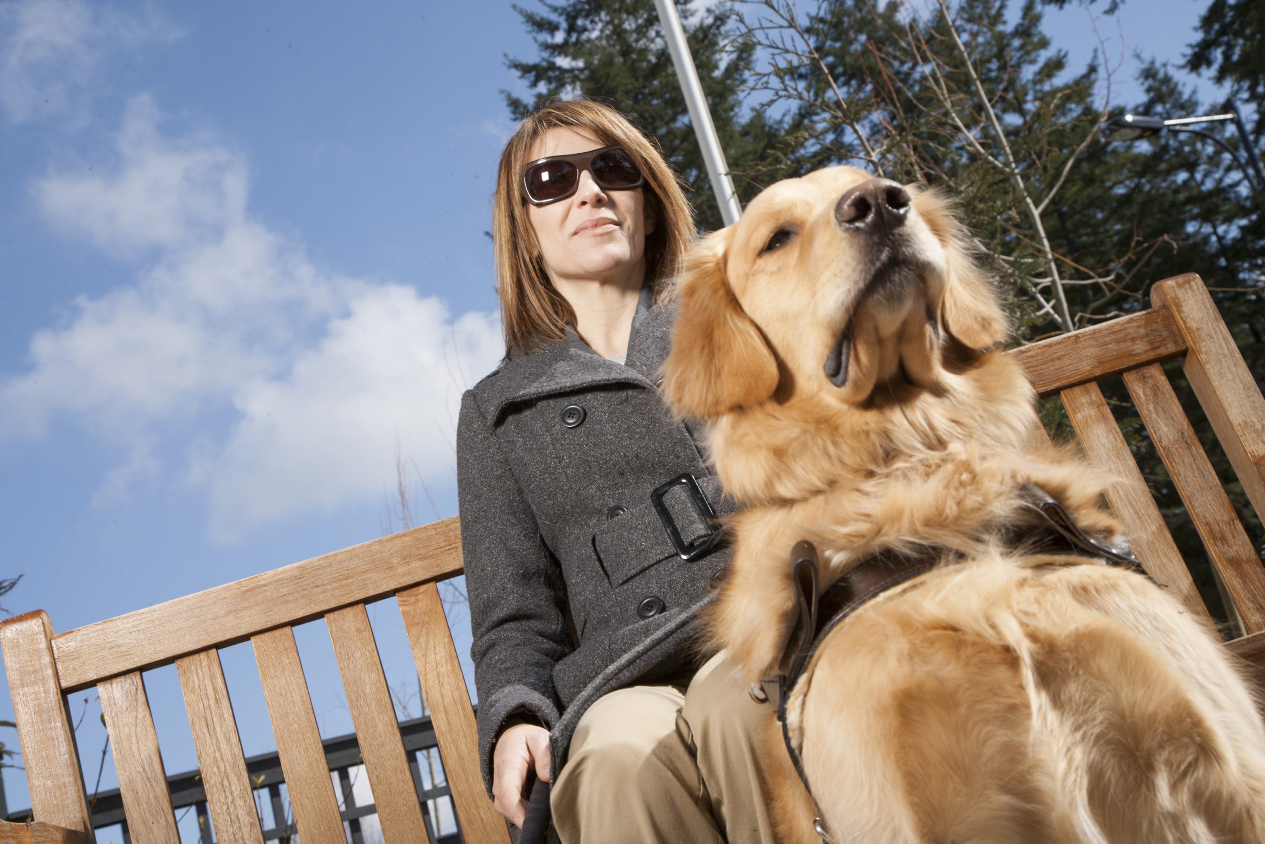 A white blind person with long hair sits with their service dog. The person wears sunglasses.