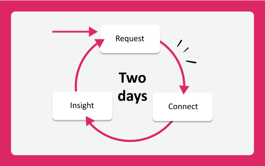 A circular diagram with the first arrow pointing to 'Request', the second arrow to 'Connect', the third arrow to 'Insight' and the final arrow points back to Request. The diagram features the text 'Two days' in the middle