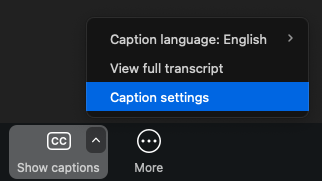 Screenshot of the Zoom interface. The Show Captions menu is open, and there are three options: Caption Language, View full Transcript, and Caption Settings, which is highlighted.