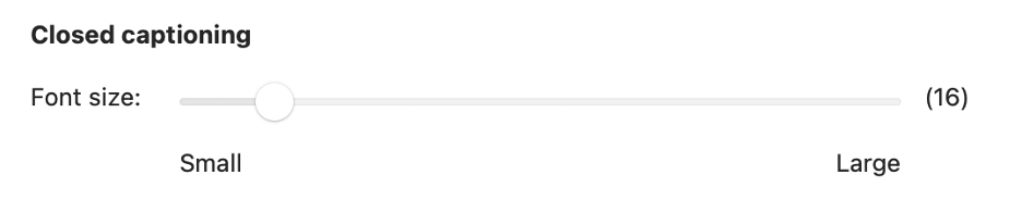 Screenshot of hte Zoom settings interface, showing a Closed captioning font size adjustment slider. The slider is set near the middle, with "Small" on the left, "Large" on the right, and the current size indicated as "(16)".