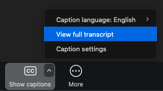 Screenshot of the Zoom interface. The Show Captions menu is open, and there are three options: Caption Language, View full Transcript, and Caption Settings. View Full Transcript is highlighted.