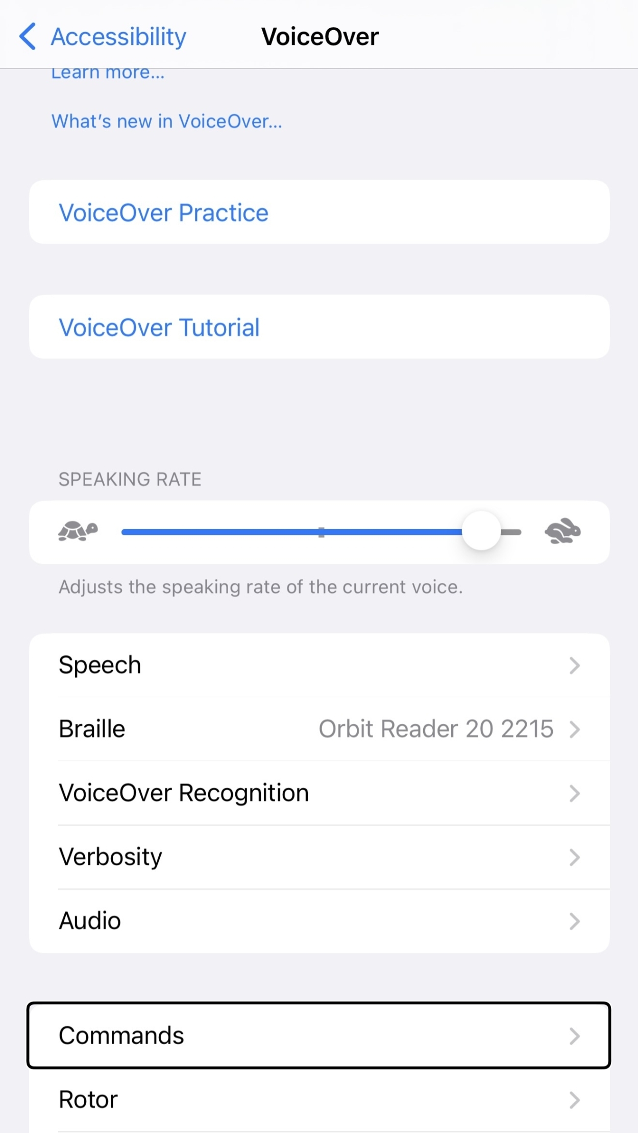 voiceover-settings-iphone Screenshot of Sam's iPhone VoiceOver settings screen.