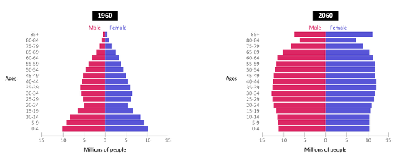 aging-population-data-cognitive Two population pyramids comparing 1960 and 2060, showing the U.S. population becoming older overall by the year 2060.